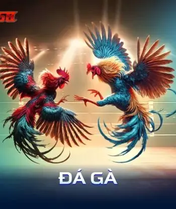 ĐÁ GÀ